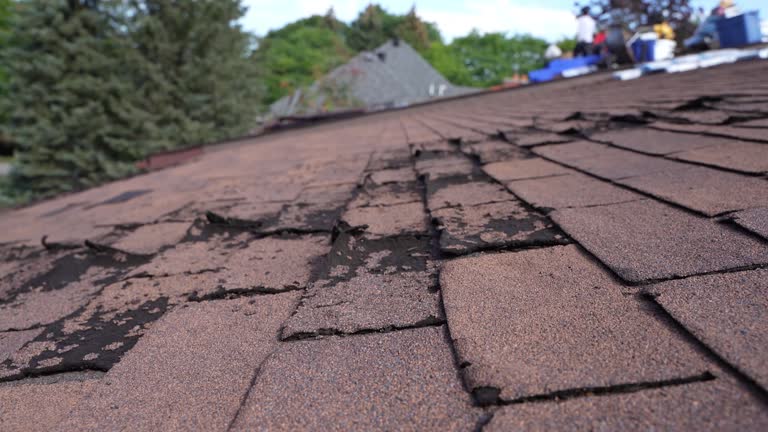 Fast & Reliable Emergency Roof Repairs in Rosebud, SD